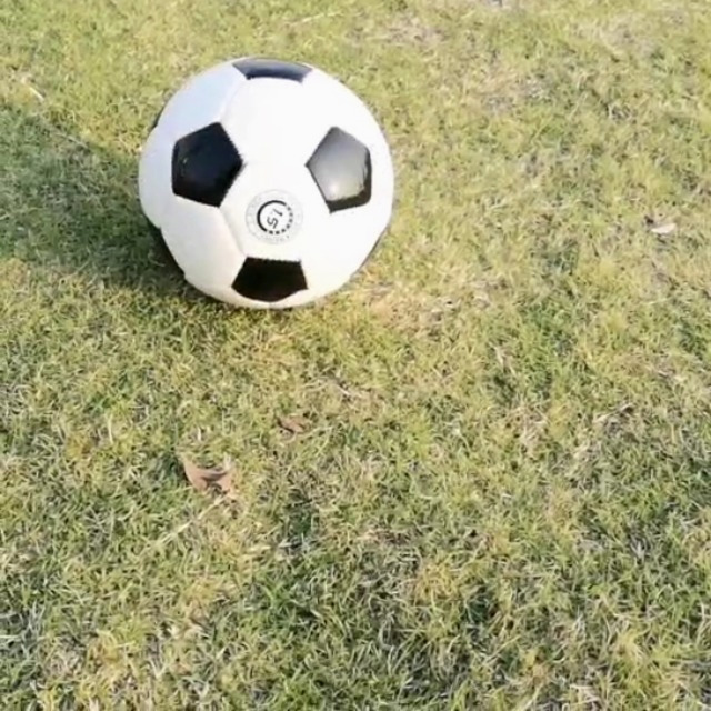 Greeniant Balón de fútbol de entrenamiento ligero y portátil para jugadores profesionales Balón