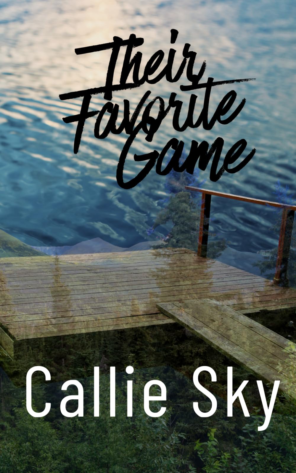 Their Favorite Game: A Brother's Best Friends Romance