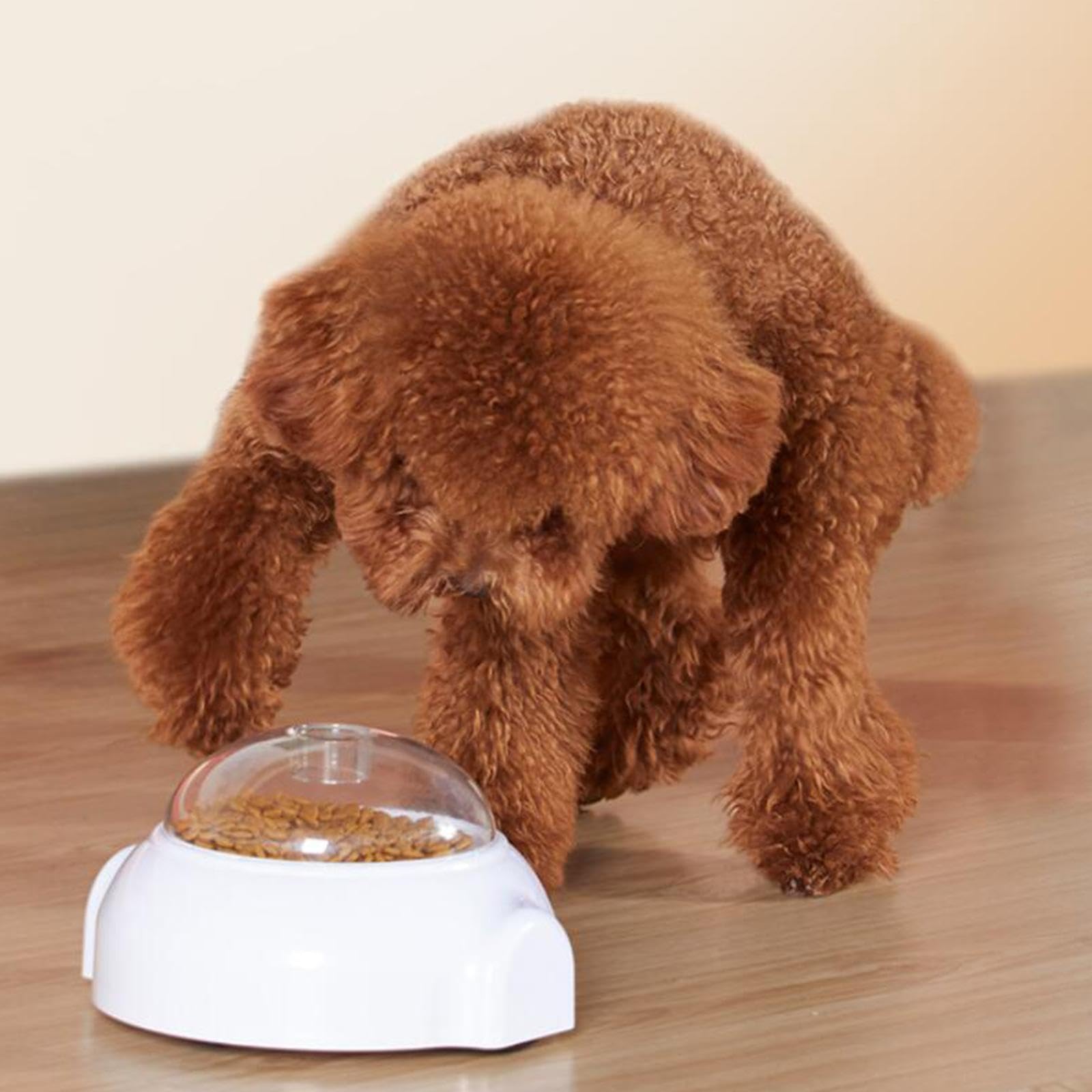 Dispensador de, Juguete Dispensador de Comida de Acción Lenta, Juguetes Interactivos para Perros, Juguete Dispensador de para Perros P, S