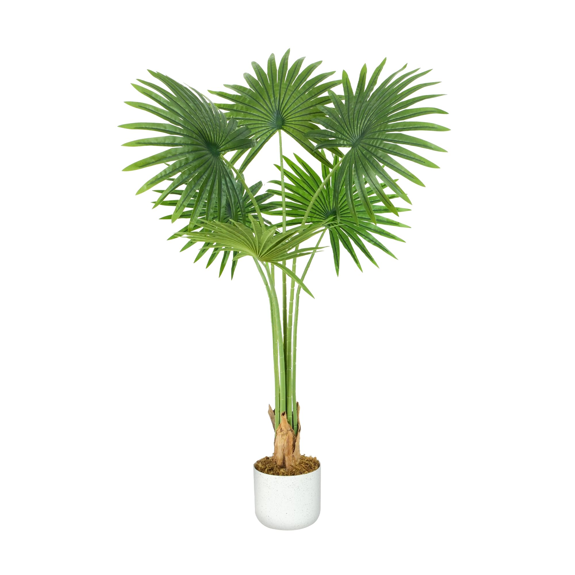 Mcc (100Cm) Artificial Fan Palm With Plastic Planter And Moss