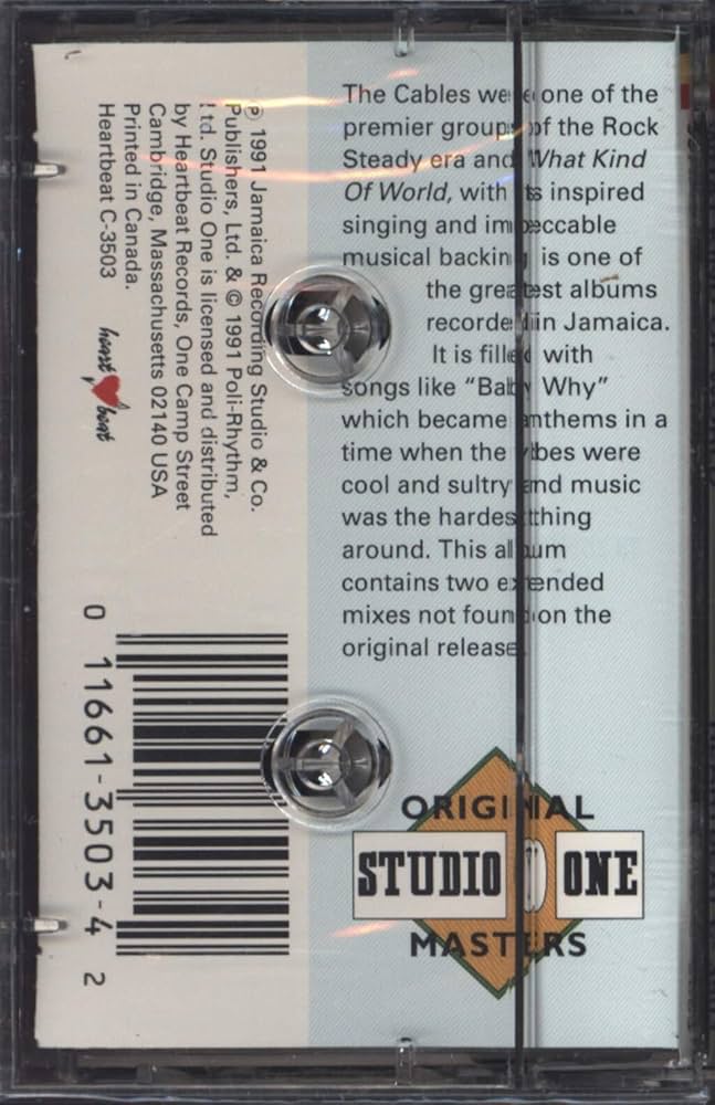 洋楽 WHAT KIND OF WORLD / CABLES What Kind of World - YouTube