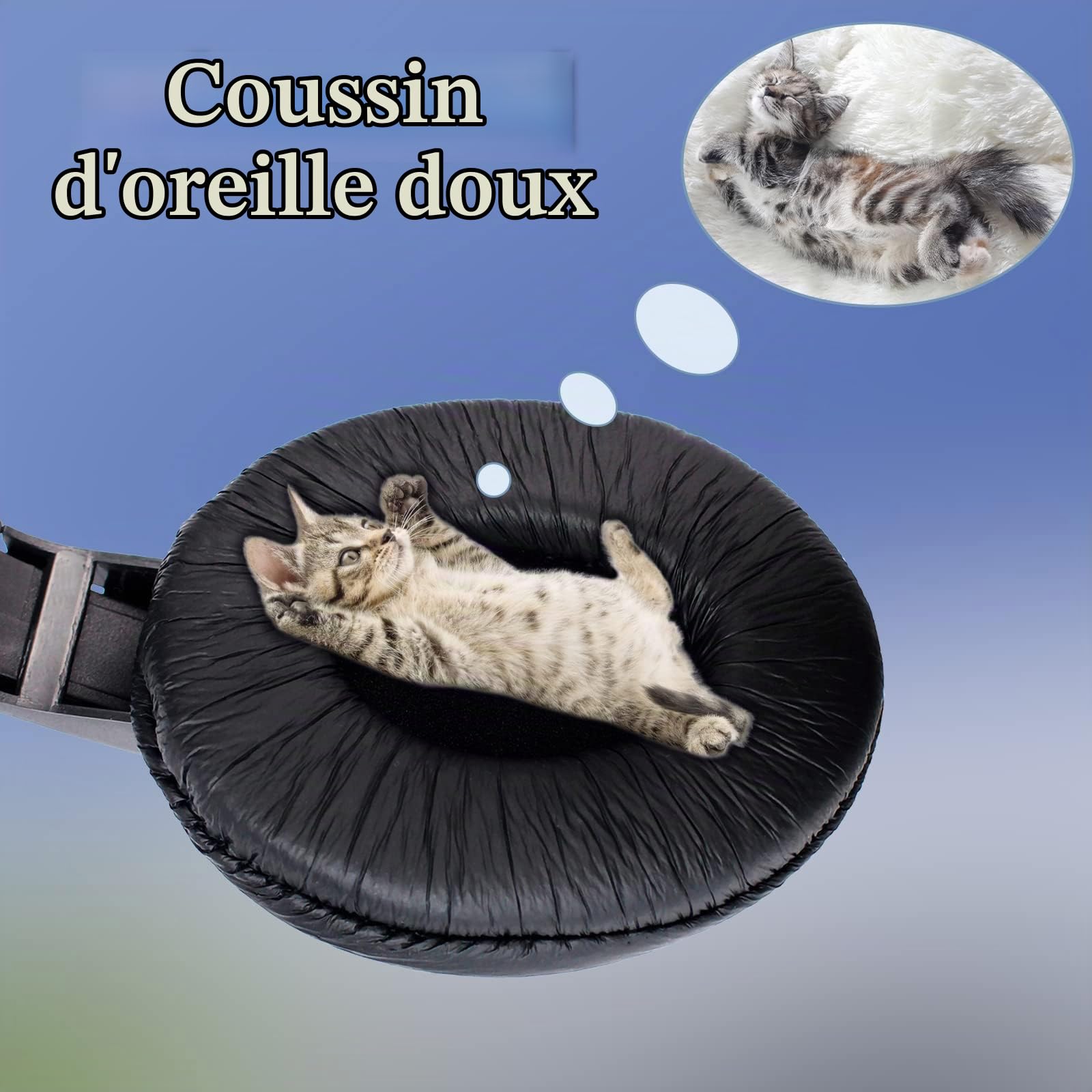 Retevis R114 Casque Talkie Walkie à Réduction de Bruit VOX Écouteur 2 Broches Oreillette Compatible avec Talkie Walkie RT24 RT27 RT668 BaoFeng BF-888s Radioddity R2 Kenwood (1 Pcs)