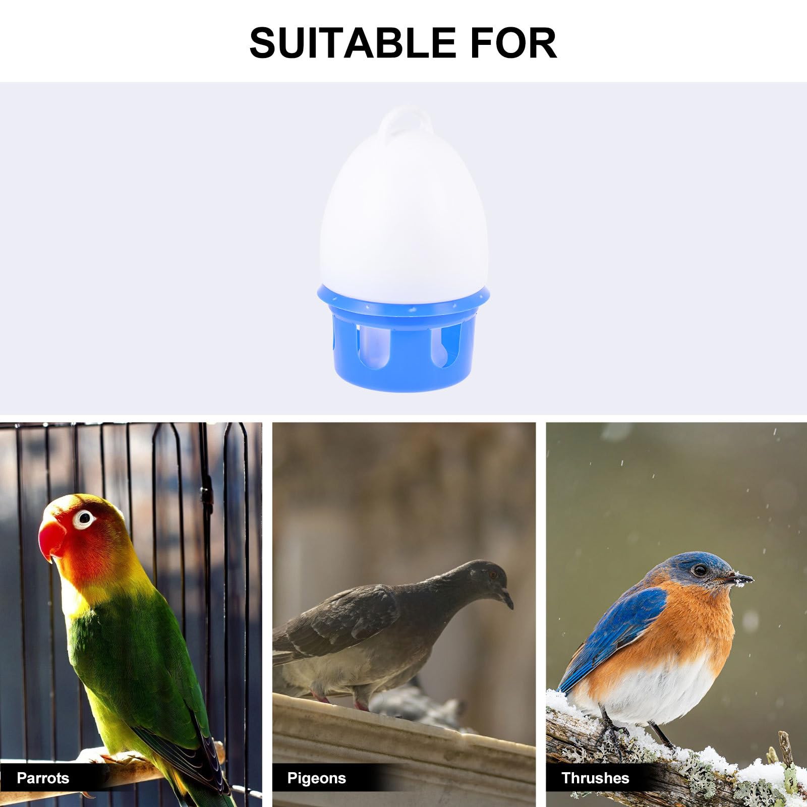 Artibetter Abreuvoir Suspendu pour Pigeons 10l avec Poignée Bleu et Blanc, Distributeur d'eau en Plastique, Mangeoire Pratique pour Oiseaux de Compagnie, Usage Intérieur et Extérieur