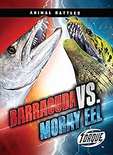 Deep Sea Duel: Barracuda vs. Moray Eel (Aquatic Animal Battles)