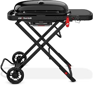 Weber Portable Grill