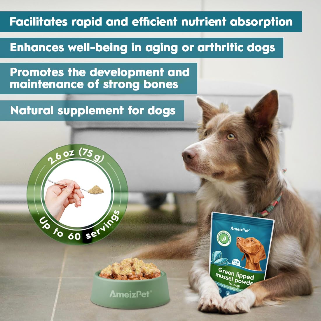 AmeizPet Green Lipped Mussel Powder for Dogs Hip And Joint Care for Dog Mobility Booster With Glucosamine Omega-3 Enriched Supplement - Image 4