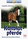 kaltblutpferdezuchtgenossenschaft traunstein  Kaltblutpferde. Pferde der Welt.