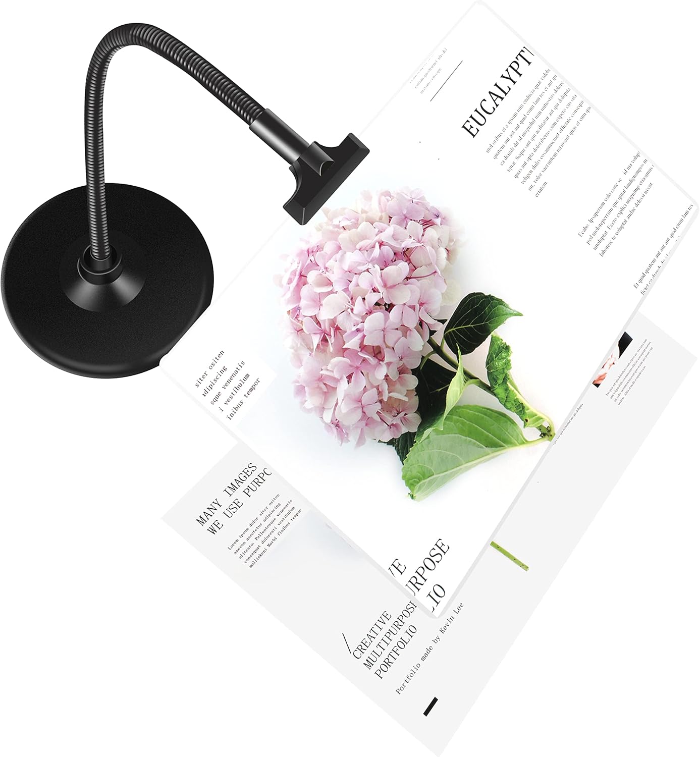 JUOIFIP 4X Magnifying Glass with Stand, 10''x6'' Flexible Gooseneck