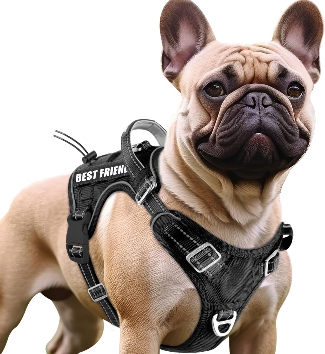 BARKBAY Service Dog Vest Tactical Dog Harness Medium Large Sized Dog No Pull Adjustable Dog Harness Reflective K9 Working Training Easy Control Military Molle System(Black,M)