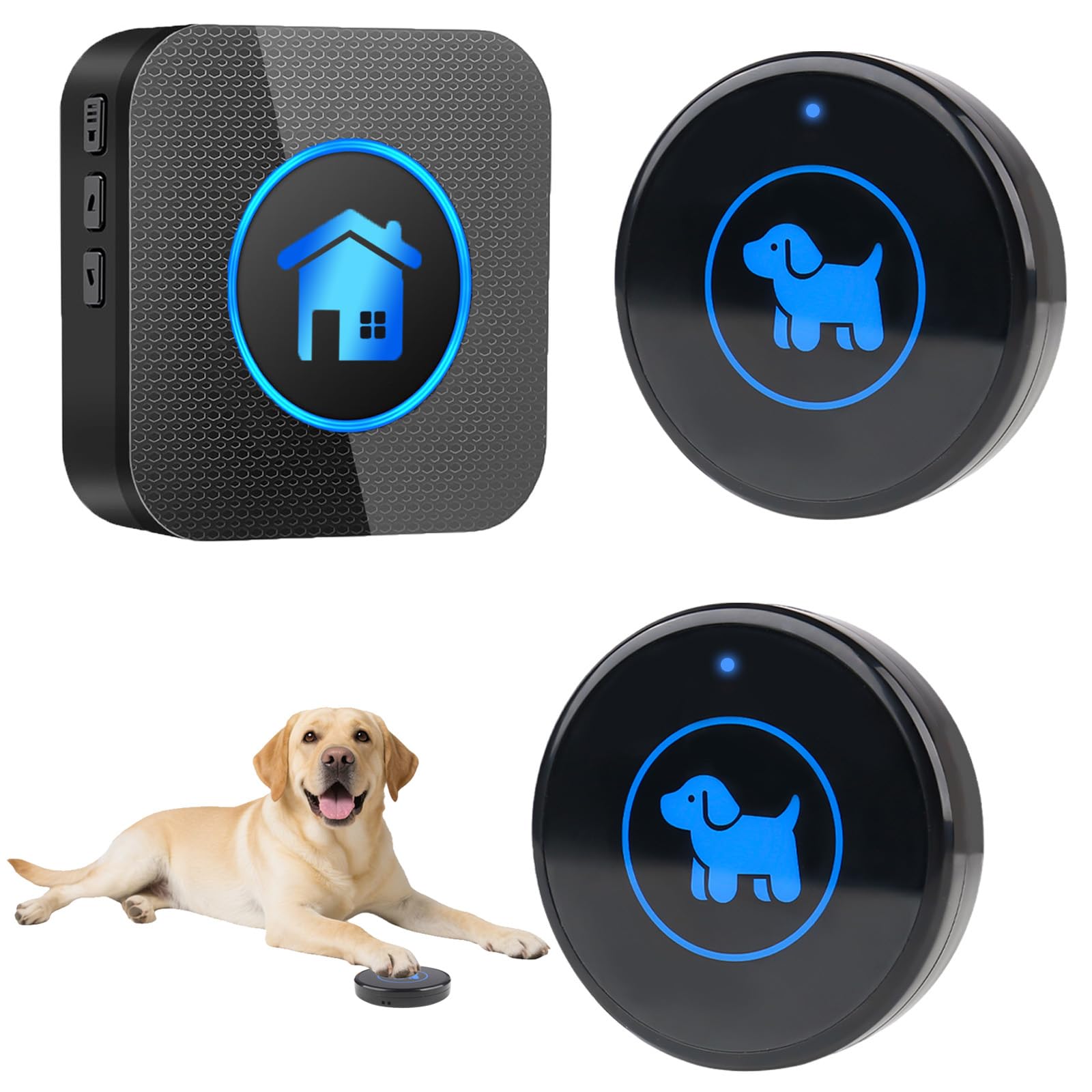 Dog Door Bell (2026 Enhanced Touch), Wireless Dog Doorbells for Potty Training – Dog Bells to Go Outside, 1000Feet Range, Waterproof Button, 55 Melodies & 5 Notification Modes(2 Buttons)