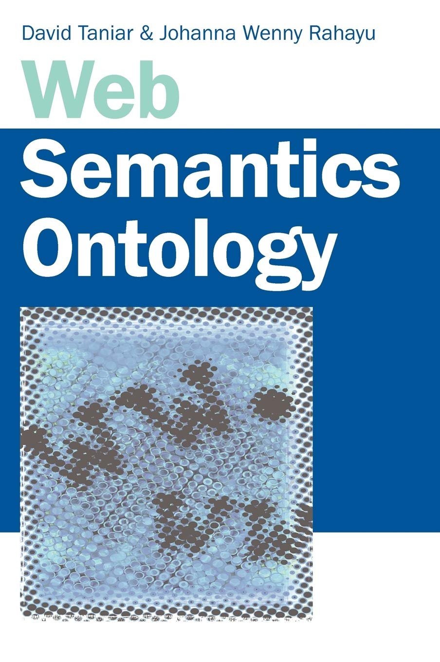 Web Semantics and Ontology