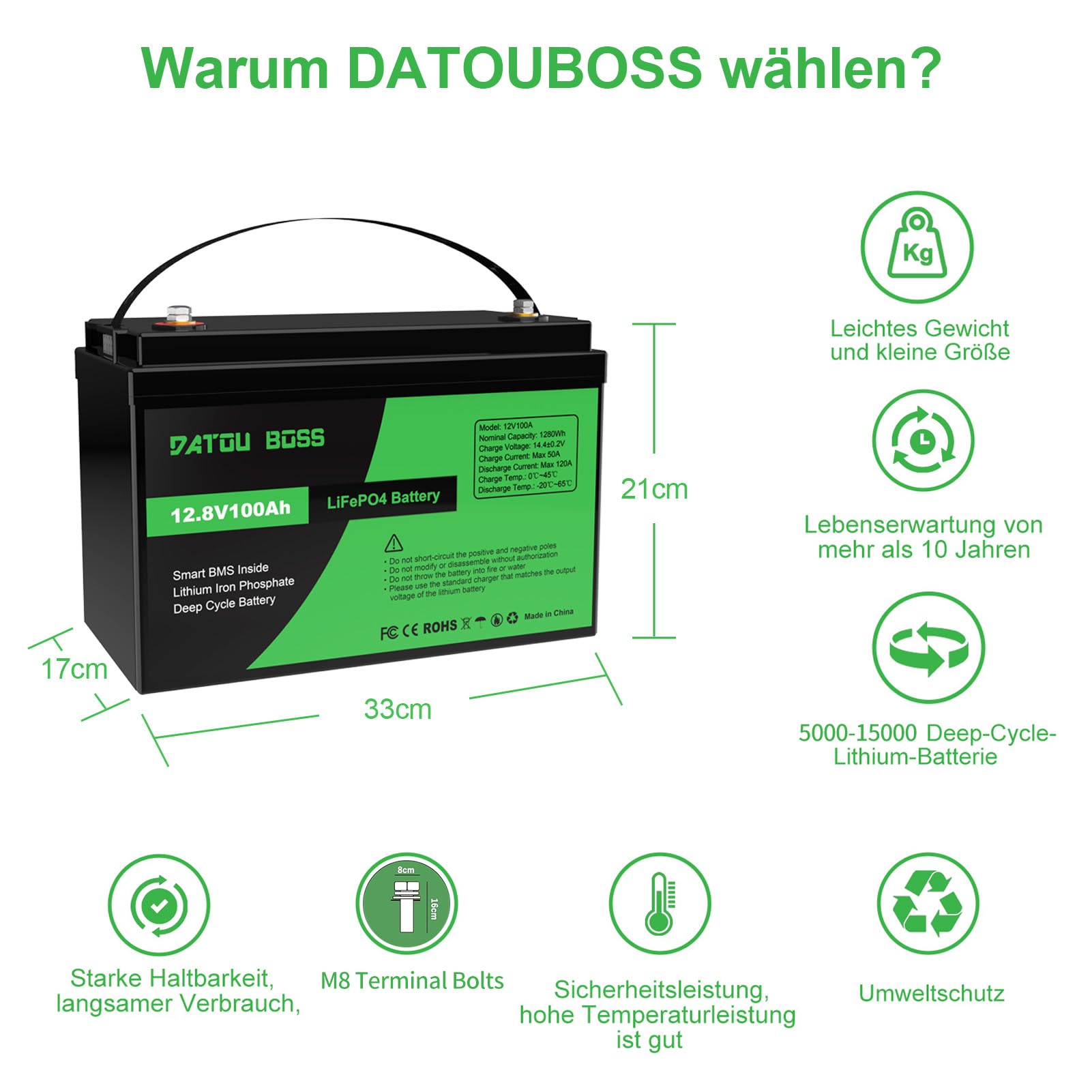 DATOUBOSS LiFePO4 Batteria Litio 12v 100Ah con 100A Protezione BMS, Fino a 15000 Cicli e 10 Anni Di Durata, per Camper, Barca, Kit di Pannelli Solari, Campeggio, Casa