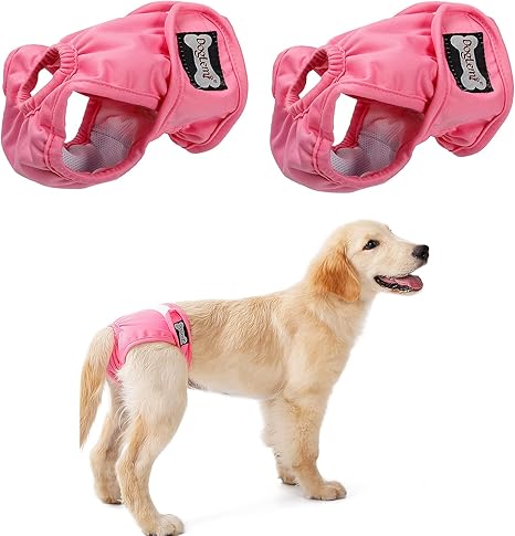 amazon dog nappies