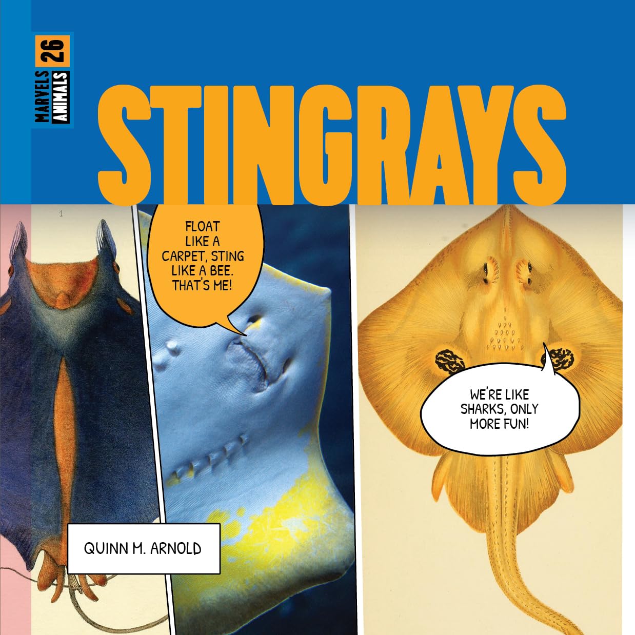 Stingrays      Paperback – January 14, 2025