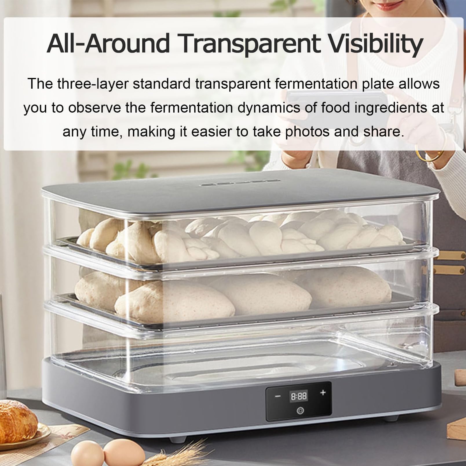 Macchina Elettrica per la Lievitazione del Pane, umidità Automatica della Lievitazione Dell'impasto Visibile e Pannello Touch per Il Controllo della Temperatura di 20-45 ℃ Macchina