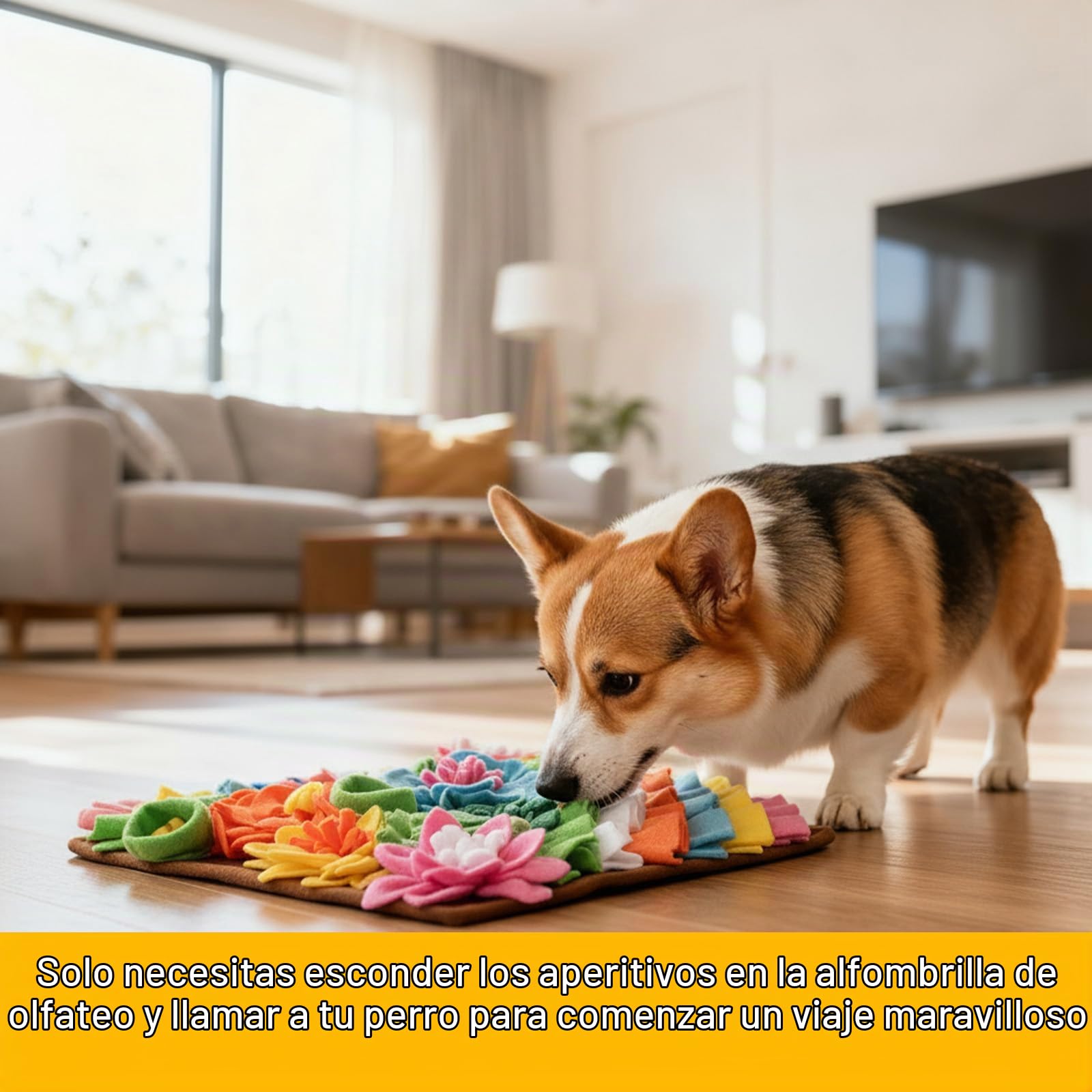 Romon Alfombra Olfativa para Perros – 40x40 cm, Manta Olfativa de Felpa Colorida, Juego Interactivo para Perros, Gatos y Conejos, Antideslizante, Lavable y Plegable, Marrón