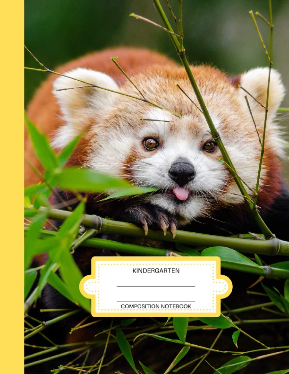 Kindergarten Composition Book: Cute Red Panda Kindergarten Primary Kid's Story Composition Book Journal Notebook With Picture Space, Dotted Midline