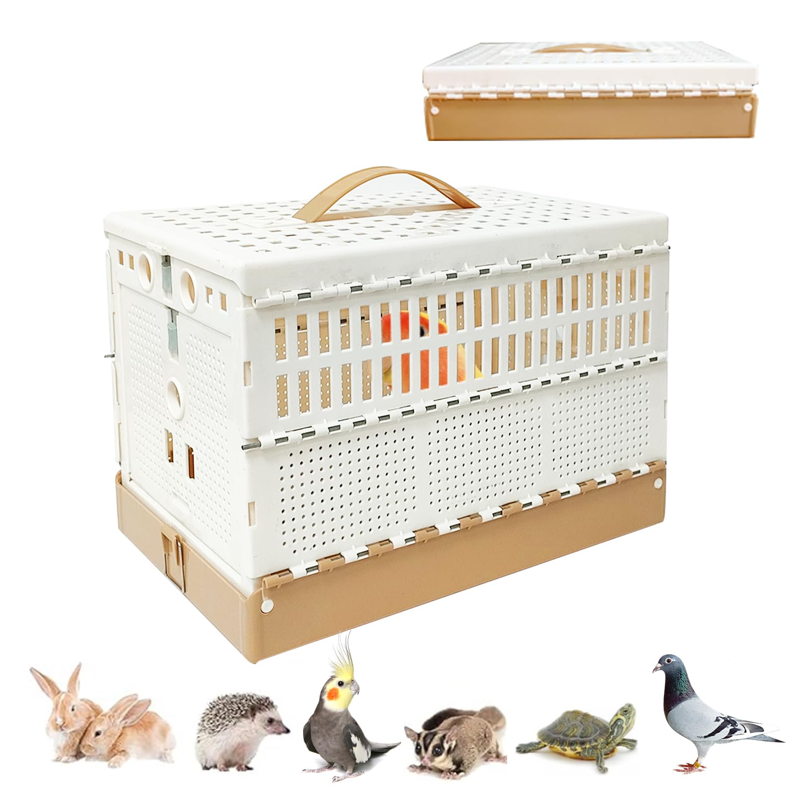 Portable Bird Travel Carrier, Folding Small Animal Travel Cage, Lightweight Breathable Pet Traveling with Plastic Tray, for Training and Release, Competition for Small Pet Birds