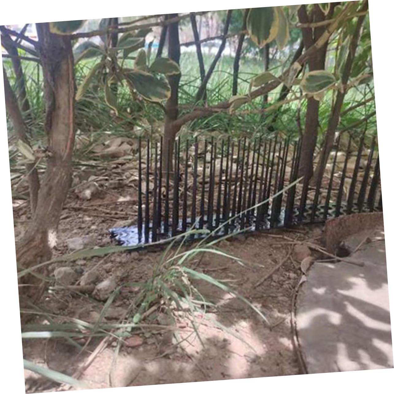 WOONEKY 9stücke Vogelabwehr-Spikes Kunststoff Effektiver Schutz Für Garten Und Zäune Gegen Tauben Katzen Raben Und Andere Tiere Einfache Installation Hohe Wirksamkeit Design