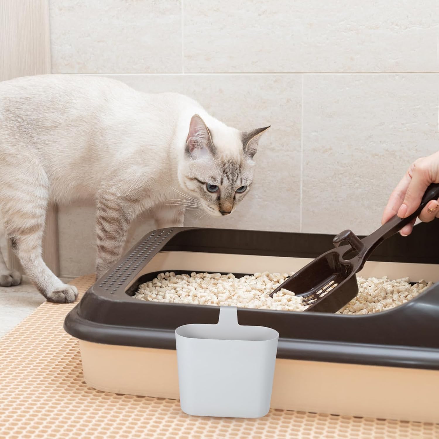 Plastic Safety Corners Cat Rounded Holder Scoop with Litter Lightweight Design Durable Material Easy to Maintain and Ensure for Cat Litter Box Pet