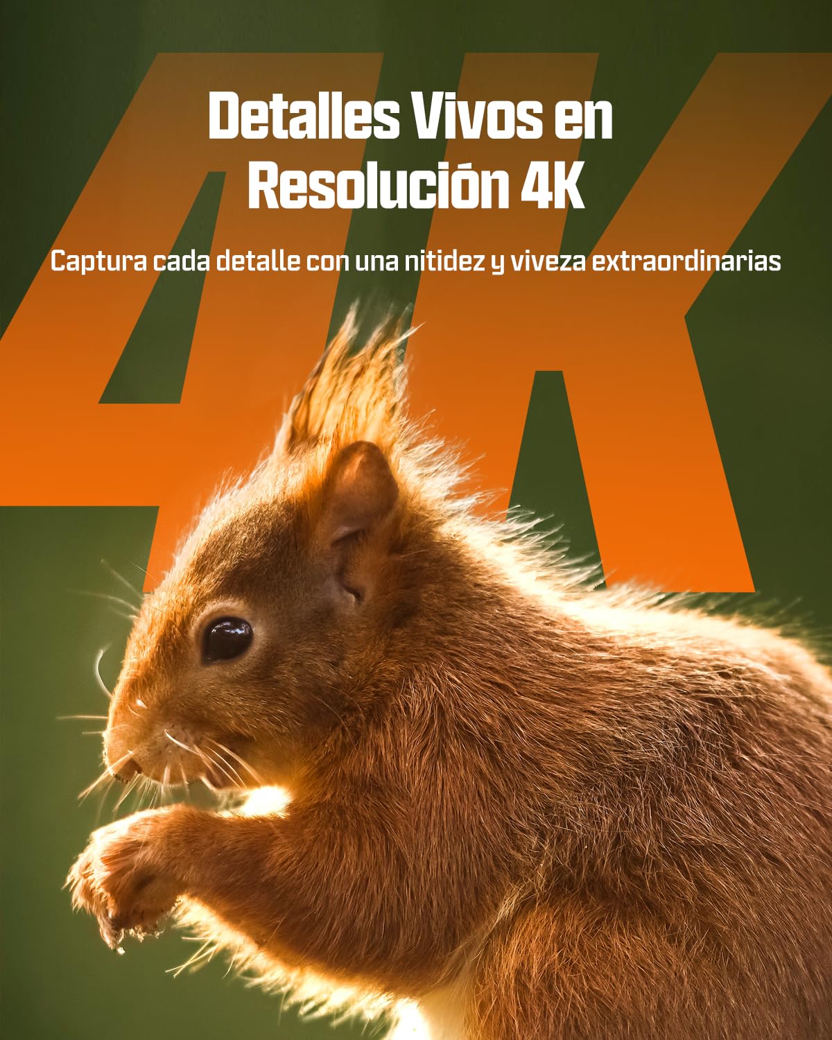 CEYOMUR 4K UHD Cámara de Caza Nocturna Solar WiFi 6 con Detección 120°, Batería 5200 mAh, IP66