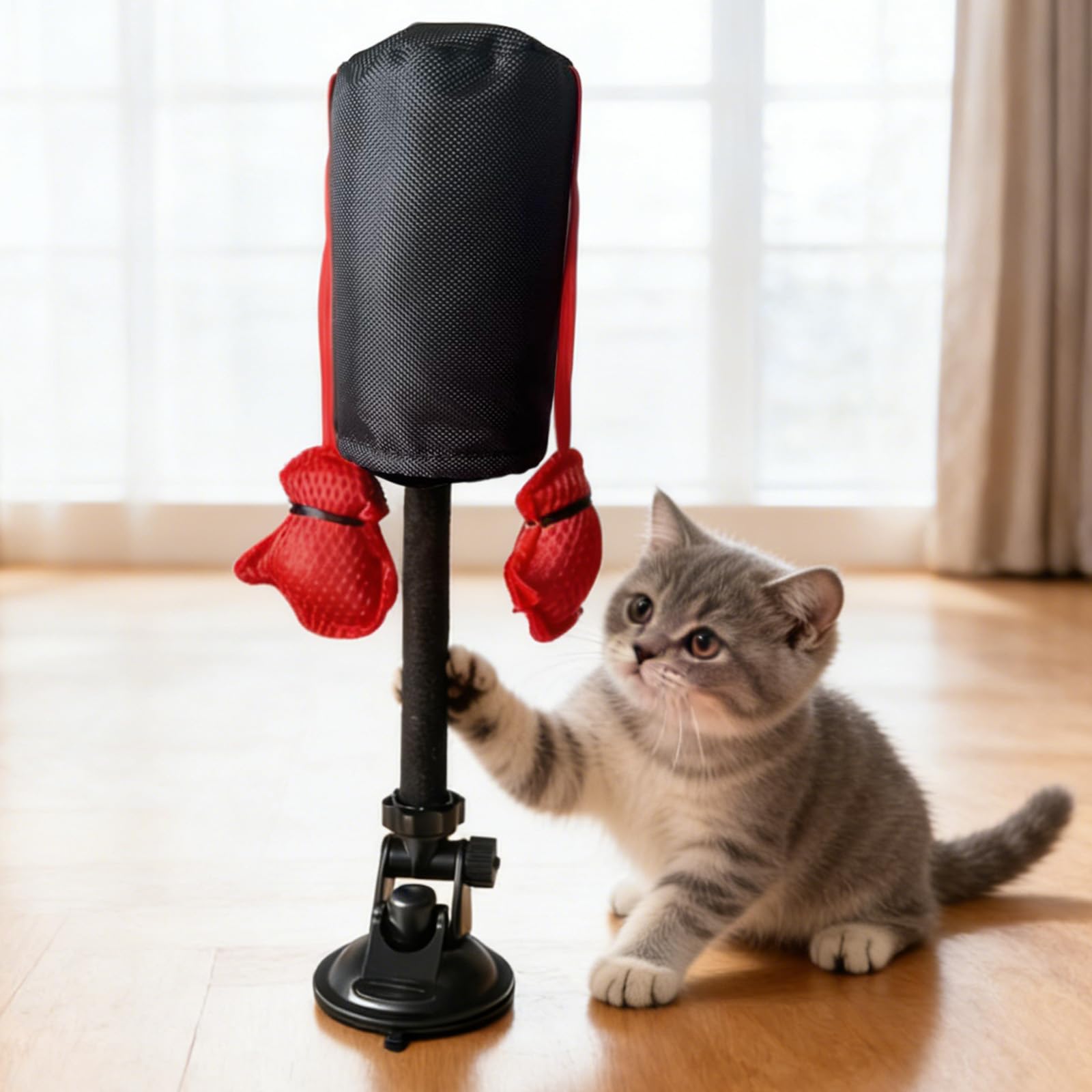 ELRK Katzen Boxsack Spielzeug - Interaktives Boxen Katzenspielzeug Mit Handschuhen, Multifunktions Katzen BoxSack Spiel Für Haus, Wohnung, Arbeits Ansicht 4
