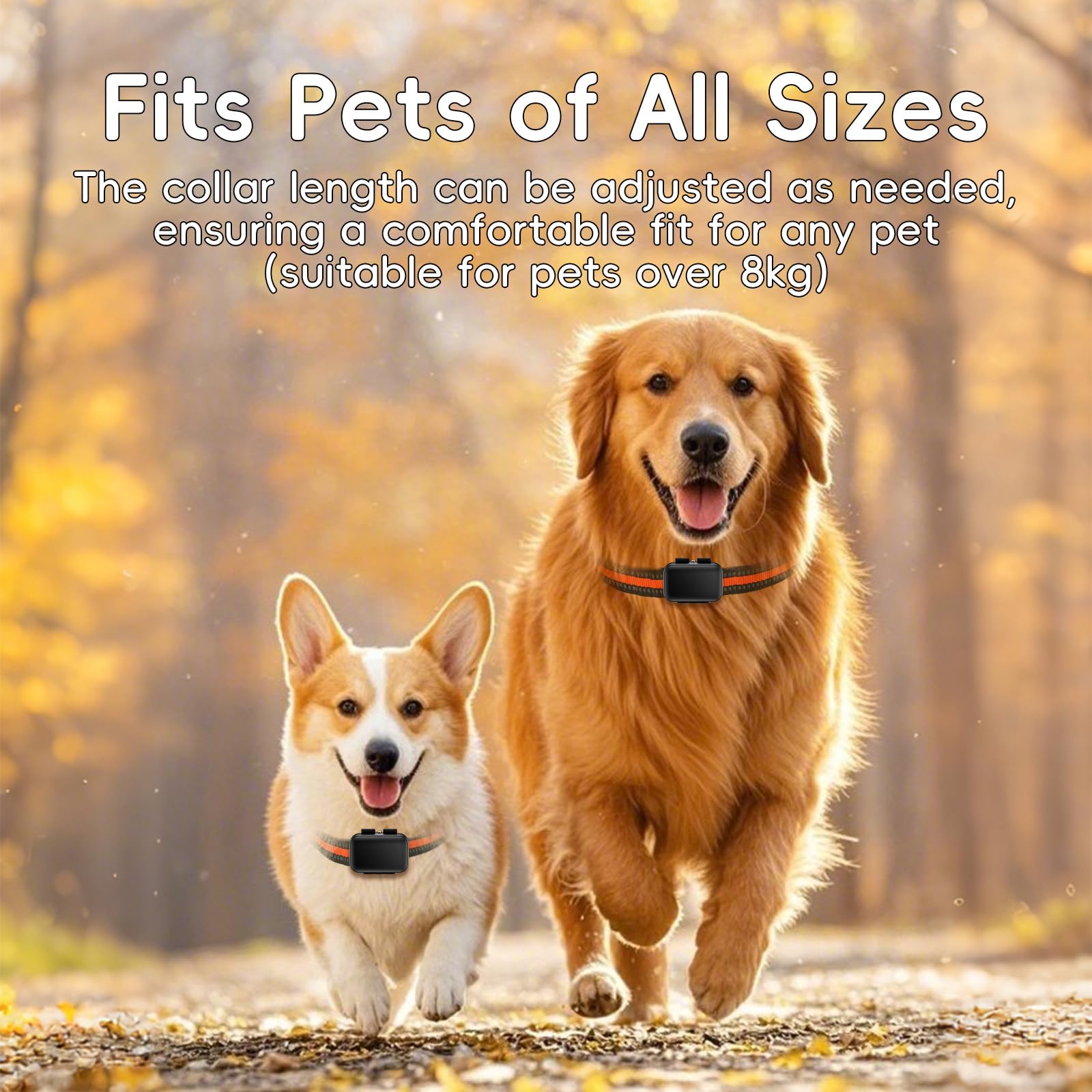 Traction Smart Dog GPS Tracker | Real-Time Pet Tracking with Virtual Fence | Waterproof | Global Positioning | Dog Collar - image 5