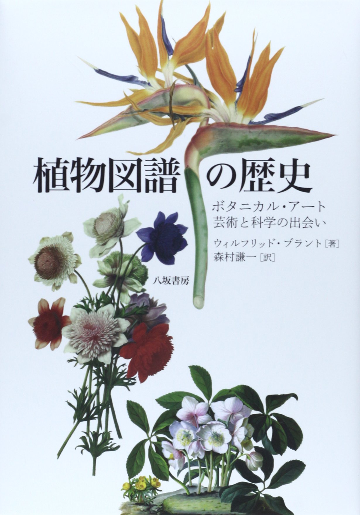 植物図譜の歴史: ボタニカル・ア-ト:芸術と科学の出会い | ウィル