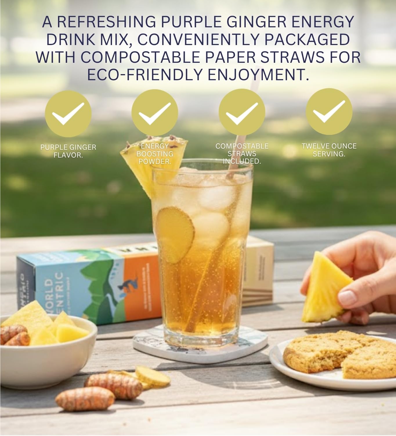 Rockaway Pineapple Ginger Sparkling Drink 12 fl oz Bundle with Straw paper 50 PC — Low-Calorie Energy Drink with Real Fruit Juice and Organic Cane Sugar — Gift Set (2 Items)