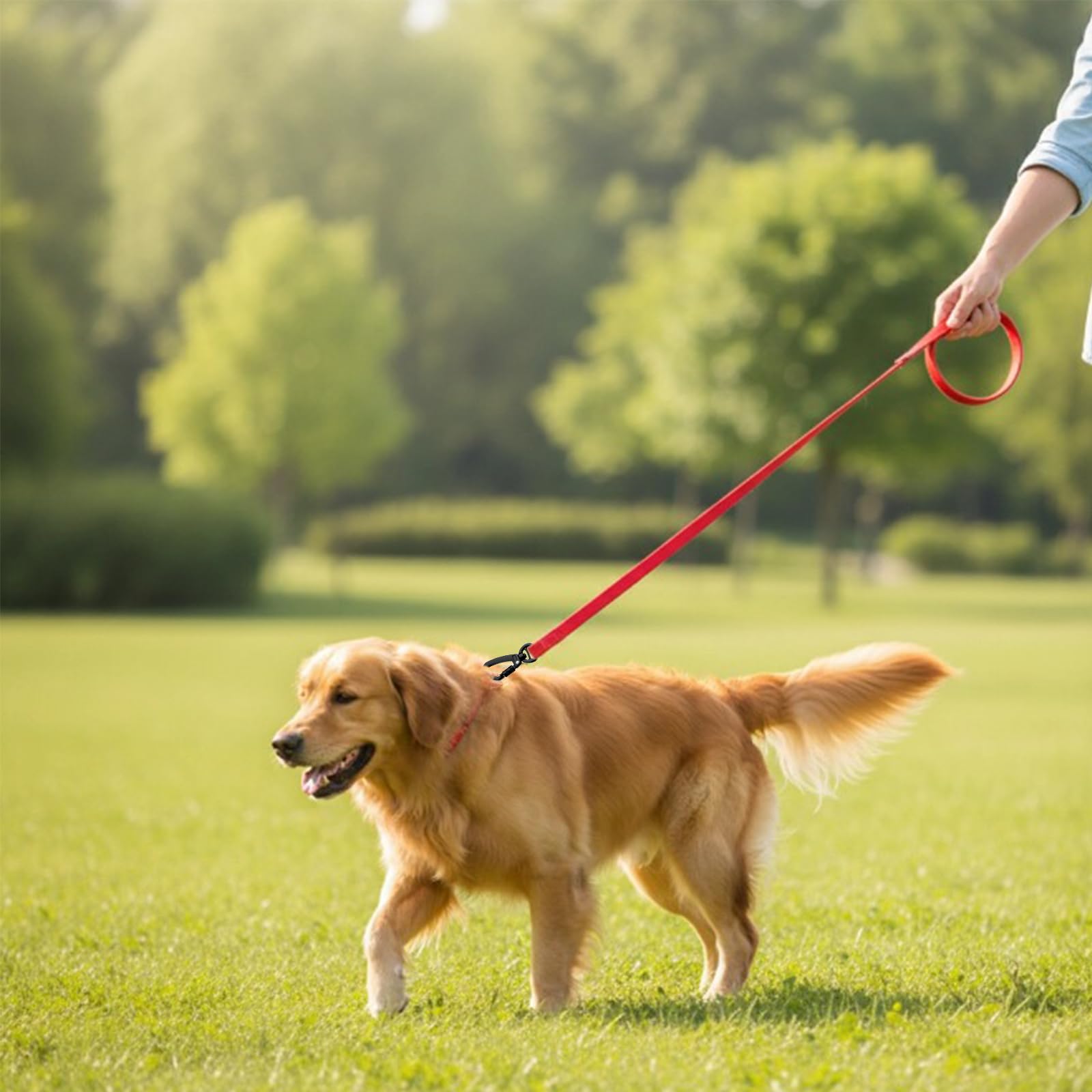 5pcs Moschettone con Girevole Nero per Cani Lino, Moschettone Verticale 360 Gradi con Girevole Portachiavi in Lega di Zinco Accessori Esterni