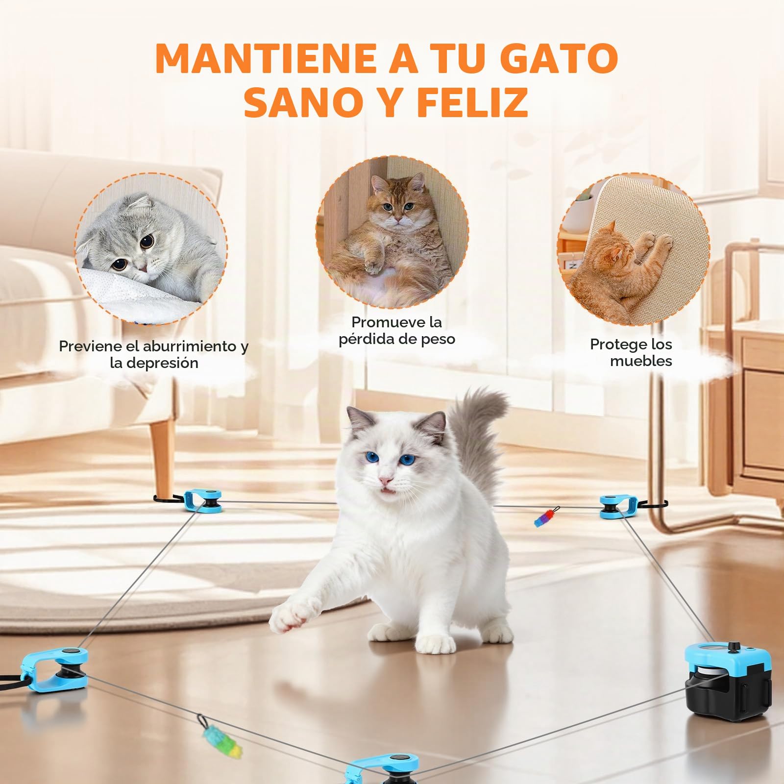 Juguete para Gatos para Interiores, Nueva Cinta de Correr para Gatitos, Control Automático/Remoto, Velocidad Ajustable, Juego de Persecución y Ruta de Carrera con Diseño DIY