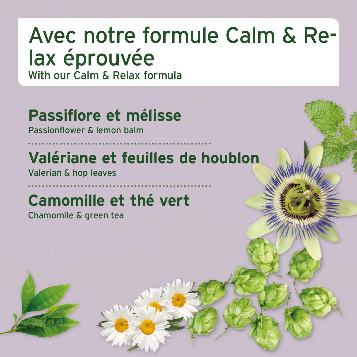 AniForte Snack Relax, Friandise Premium pour Chiens 300 g - Détente et apaisement Naturel, Snack Anti-Stress, à la valériane, à la mélisse et au romarin, Aide en Cas d'anxiété et de nervosité