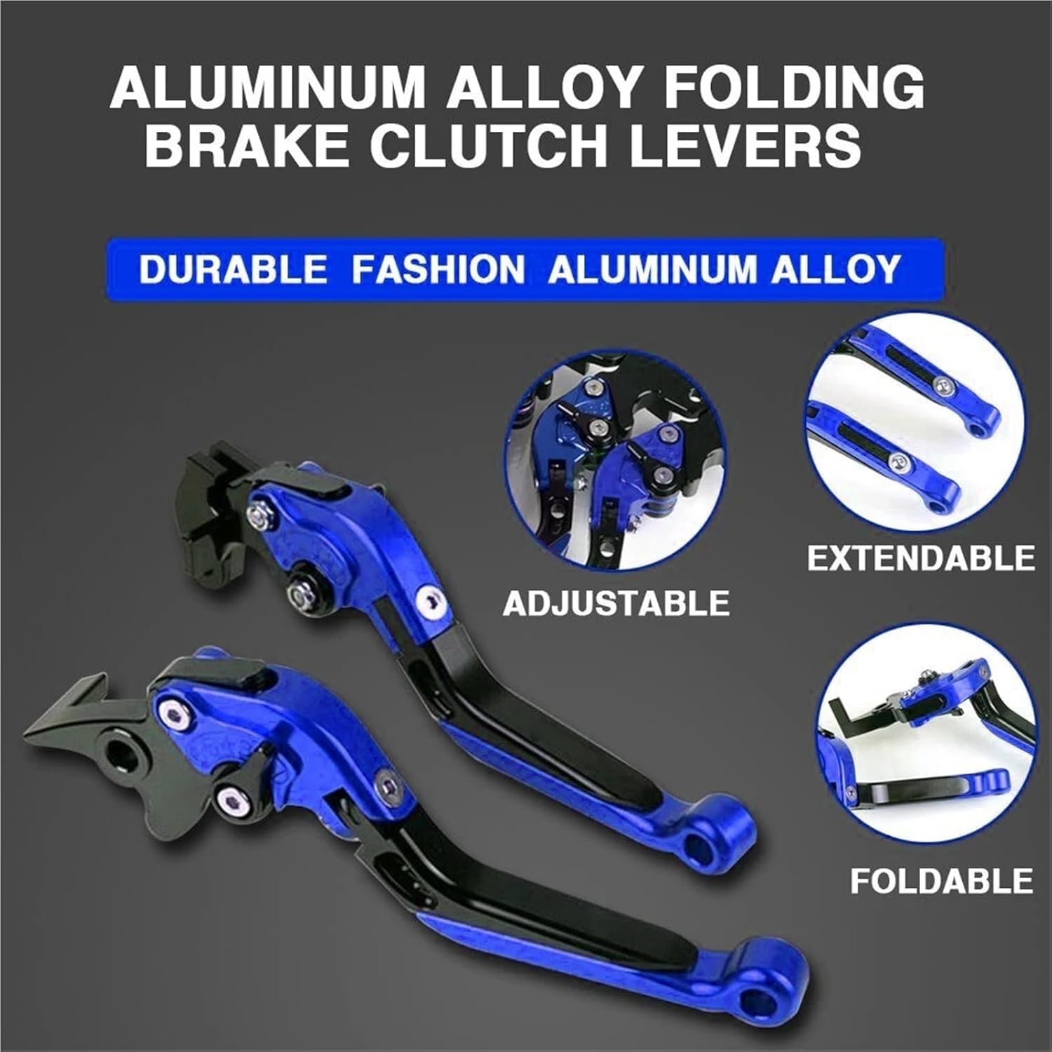 鳥類学 100891-600x325.png