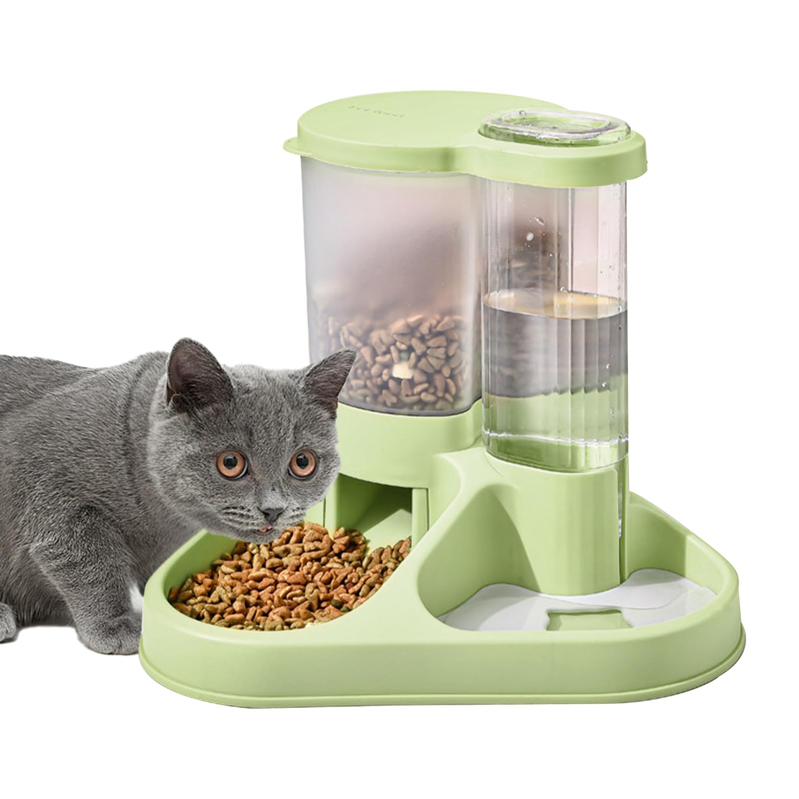 Mangeoire et abreuvoir pour chien transparent pour des repas sereins