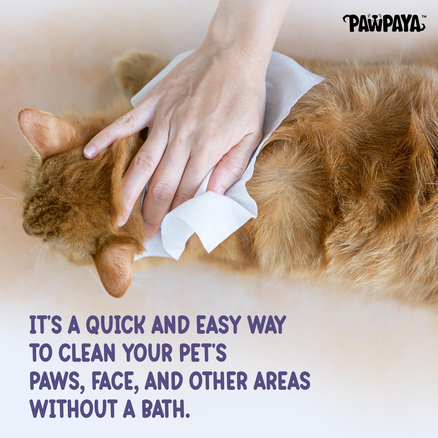 Pawpaya Oatmeal Pet Wipes for Dogs and Cats 100 Wipes | Soothes Itchy and Sensitive Skin | Cleans Paws Face and Coat | Alcohol-Free Grooming Wipes (Pack of 2) 3
