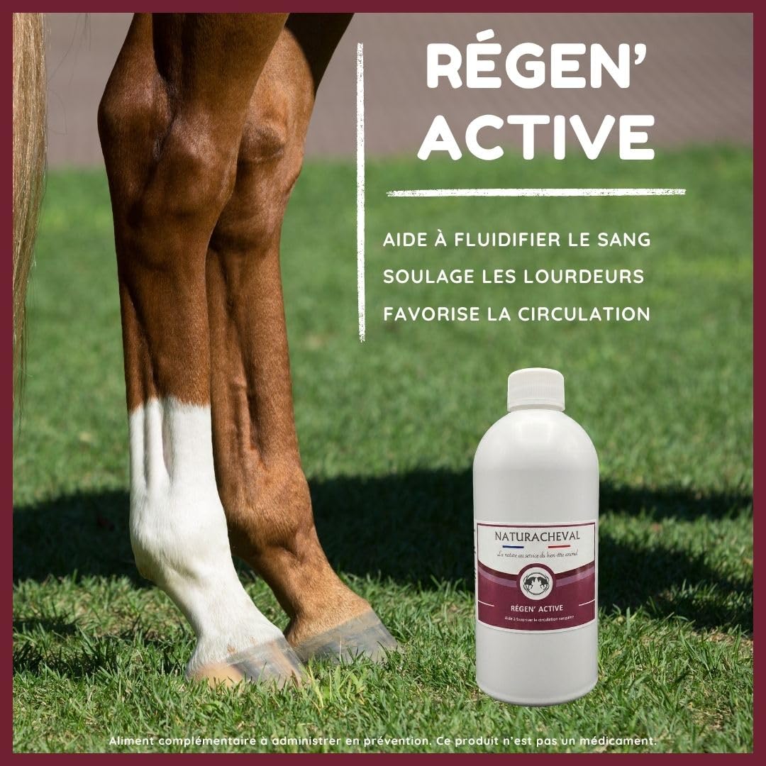 Circulation Cheval & Engorgement – Complément Naturel Retour veineux – Soulage Membres gonflés & lourdeurs – Soutien fourbure & œdèmes – Formule Plantes