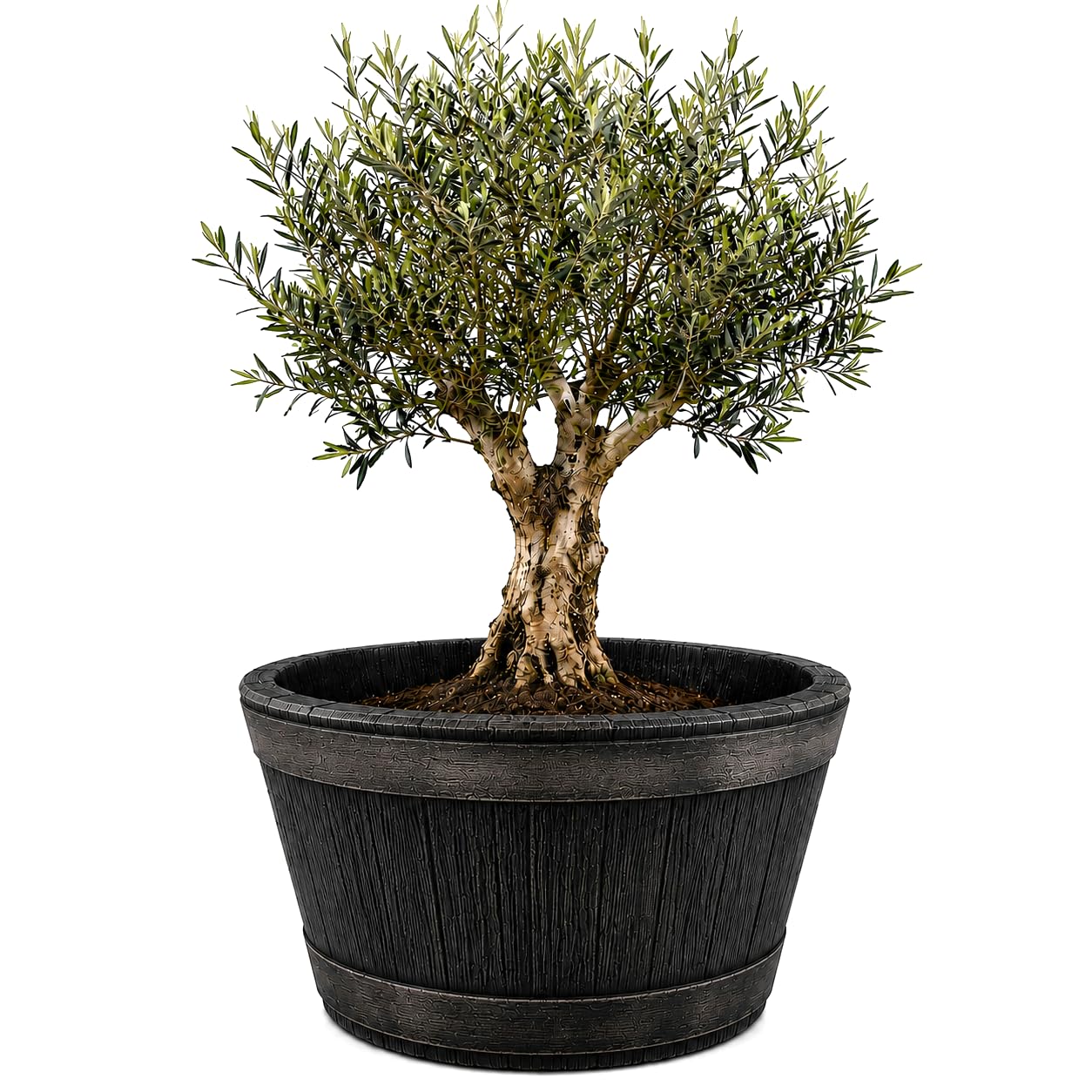 Bassin de jardin imitation chêne 63cm | Mini étang étanche et bac à fleurs résistant