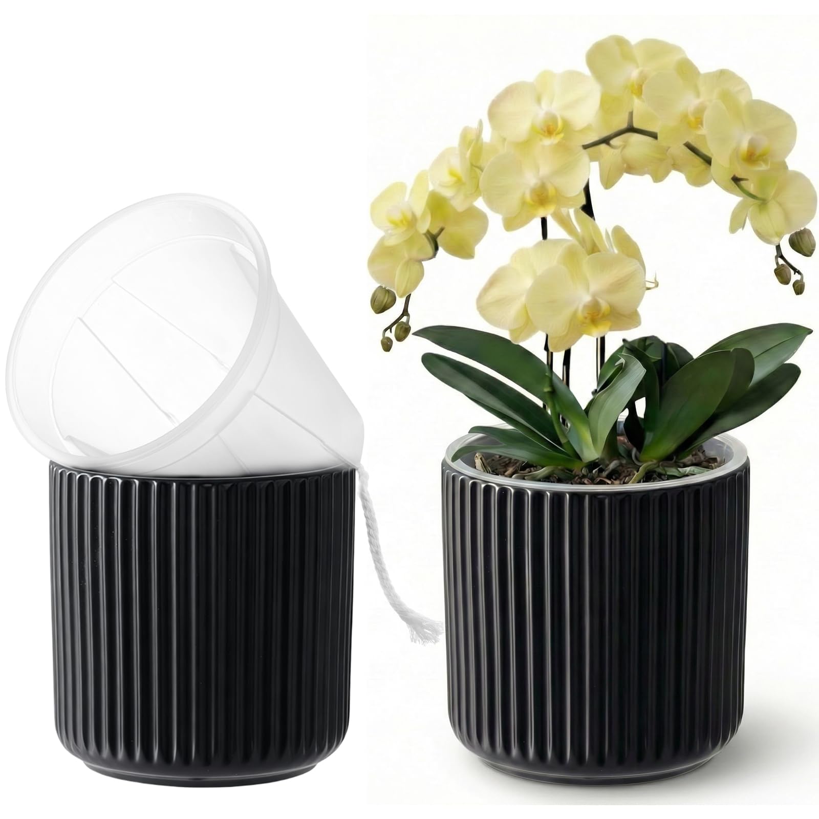 Pots à orchidée en céramique design pour sublimer votre salon