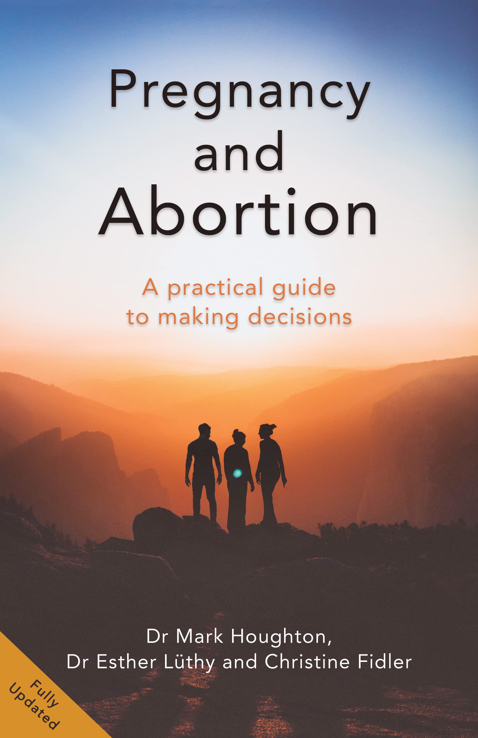 A Guide to Pregnancy and Abortion: For Those Who Are Pregnant, Partners, Professionals and Policy Makers: A Practical Guide to Making Decisions