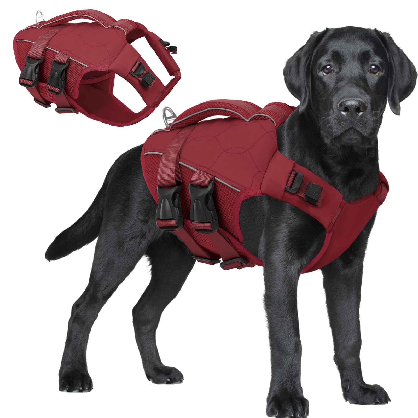 ASENKU Chaleco Salvavidas para Perros con Asa de Rescate, Cinturón Reflectante y Anilla D - Arnés Flotante con Panel Ventilado de Malla en el Vientre para Natación, Paseo en Barco, Seguridad en Agua
