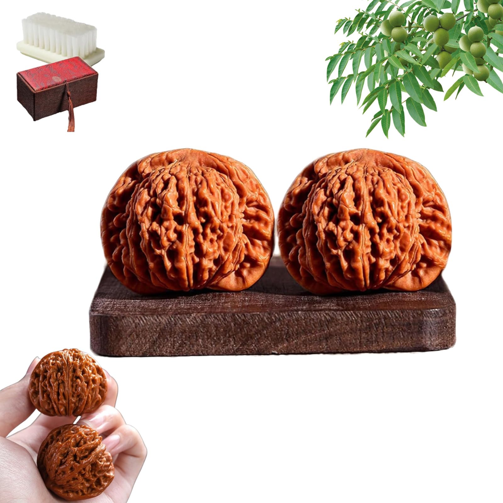 2026 Wenwan Walnuts, Chinesische Walnüsse Fidget, Wenwan Walnüsse für Handtraining, Traditional Walnut and Massage Ball for Home Office Meditation (A)