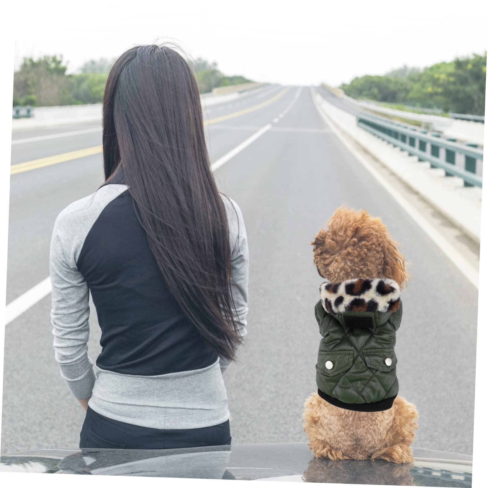 BESPORTBLE 3 Pz felpa con cappuccio per cani da cucciolo offerteforniture per animali domestici vestiti vello di cane felpa con cappuccio da cucciolo Collo di pelliccia invernali