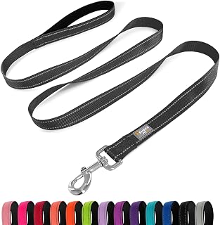 Penseepet 6FT Reflective Nylon Dog Leash for Medium Dogs - Padded Handle, Durable Clasp, Black