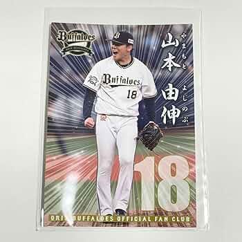 7156-JjHTdL._AC_UF350,