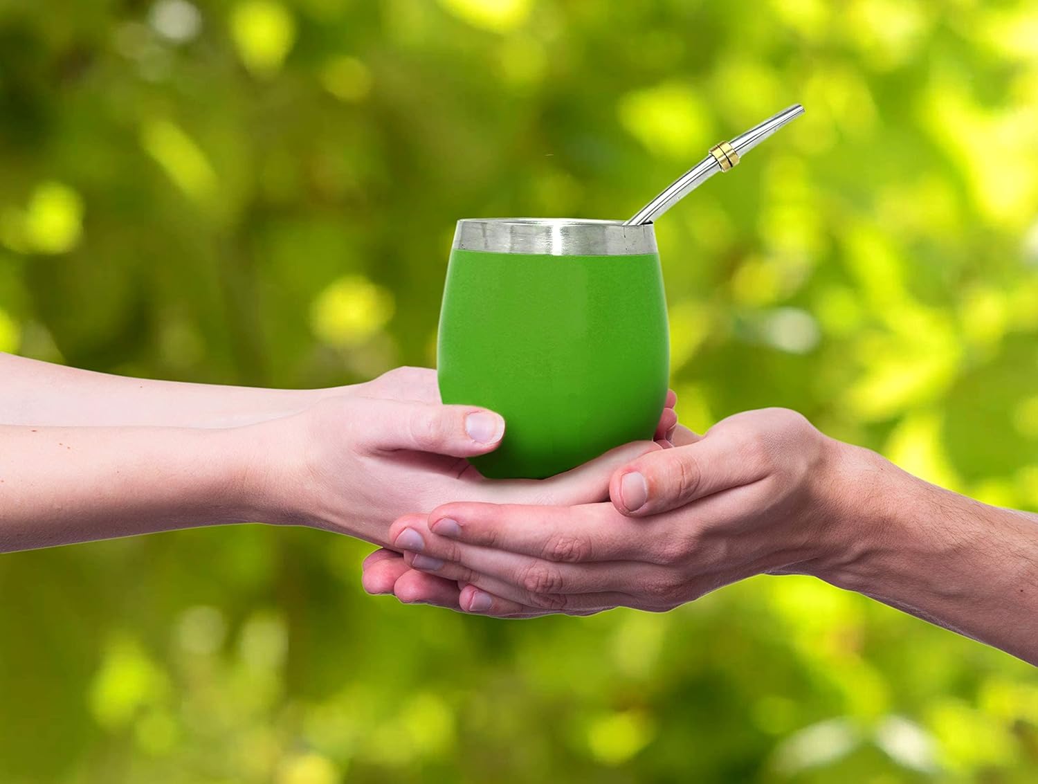 Novomates [NEW Mate Cup and Bombilla Set - Mate Gourd - Includes Double Wall Stainless Steel Yerba Mate Tea Cup with Stanley Steel Mate Straw – Bombilla Mate and Mate Tea Cup 8oz (237ml) (Green) - Image 5