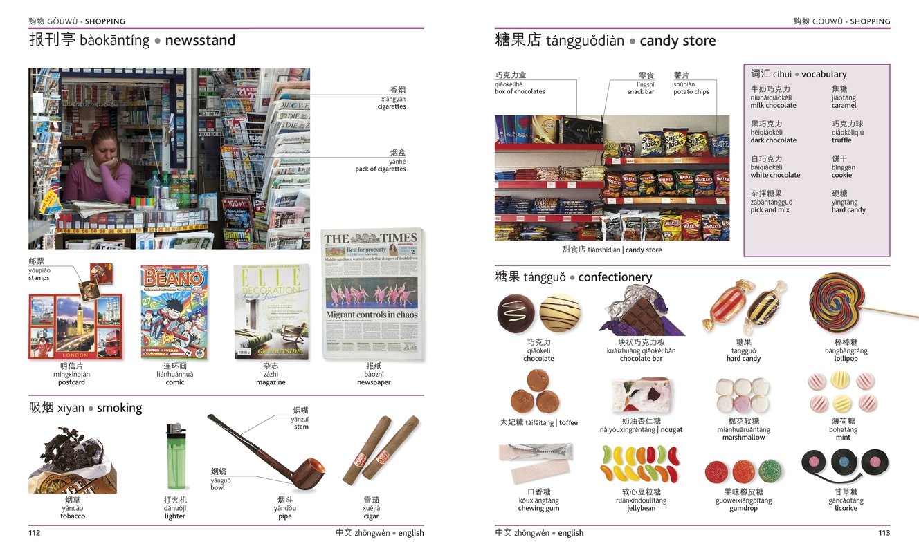 Mandarin Chinese English Bilingual Visual Dictionary (DK Visual Dictionaries)
