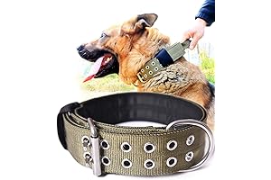 Durable K9 Nylon Collar for Large Breed Dogs' Comfort
