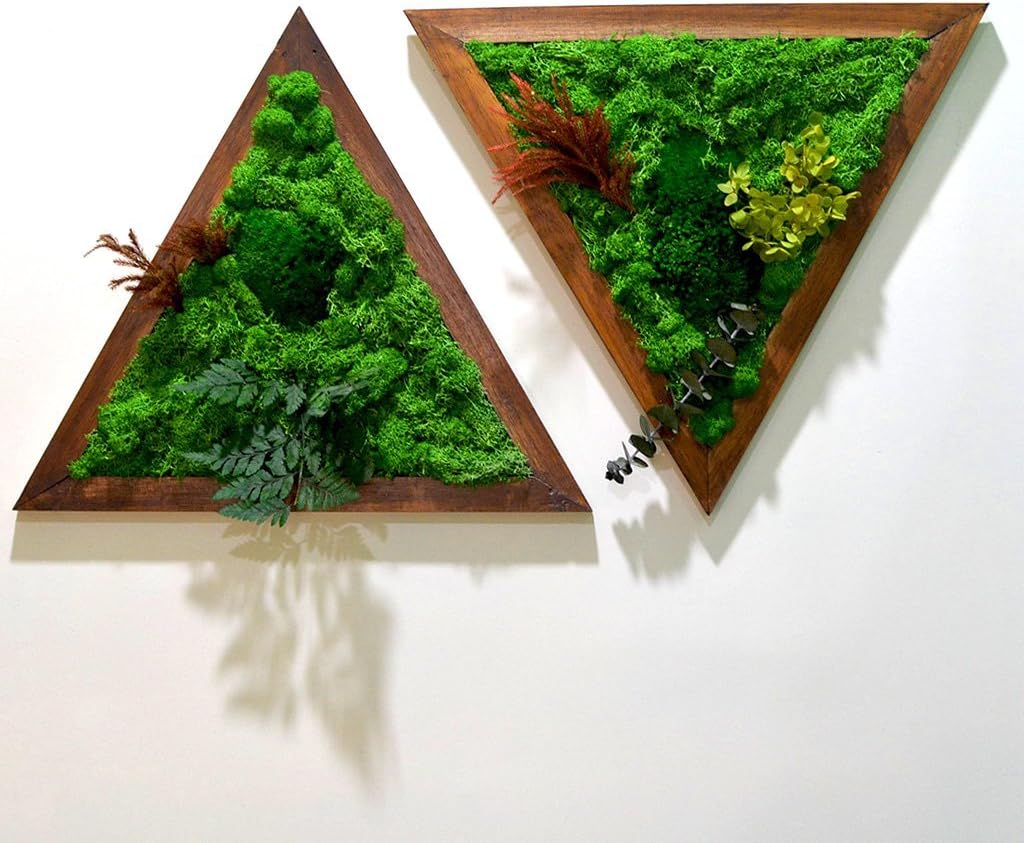 myBageecha - Like A Diamond Moss Frame with Dark Wood Home Decor Interior Gift Article