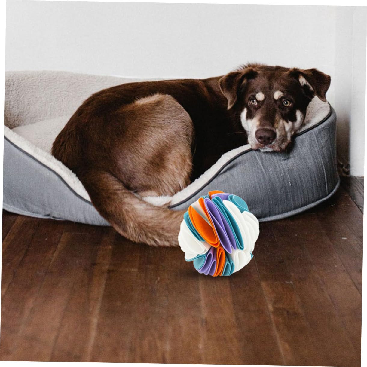 SUPVOX 2 Piezas De Pelota para Olfatear Perros Juguetes Chirriantes para Perros Juguetes De Entrenamiento para Olfatear Almohadilla De Alimentación para Juguete para