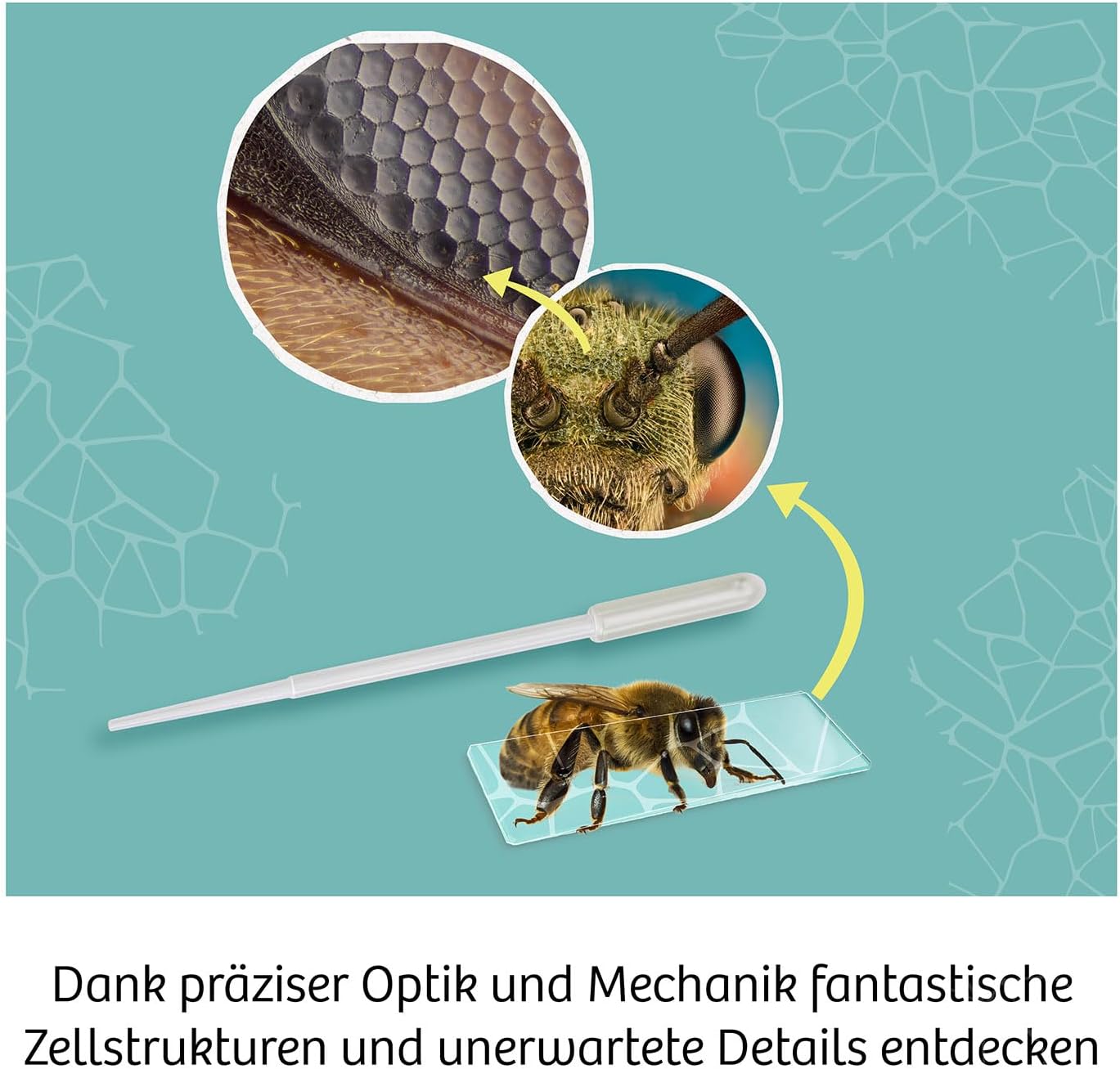 Kosmos 636098 Microscope Experiment Box for Children, Students Microscope, Microscope for Children from 10 Years, Gift for Children, Kosmos Microscope for Children from 10 Years
